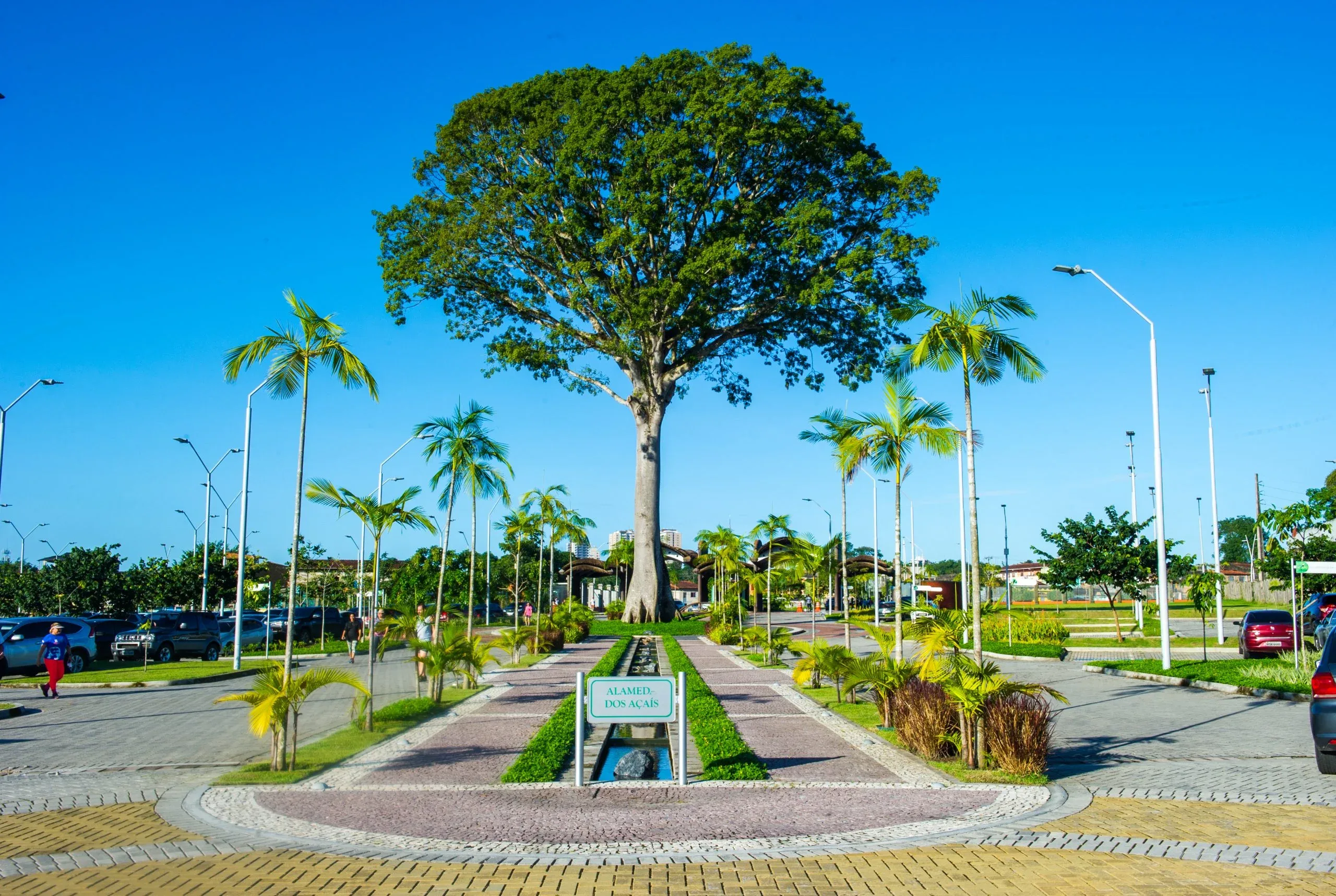 Parque do Utinga se destaca entre os mais visitados do Brasil e reforça importância dos parques urbanos em Belém